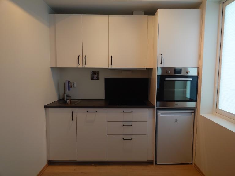 Fullt utrustet kjøkken med kjøleskap, stekeovn, platetopp og oppvaskemaskin.